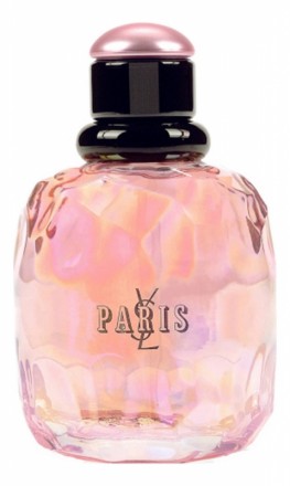 Yves Saint Laurent Paris Pont Des Amours