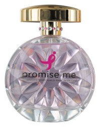 Susan G Komen Promise Me