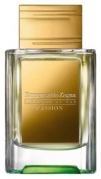 Ermenegildo Zegna Passion