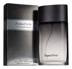Ermenegildo Zegna Forte man