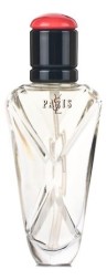 YSL Paris