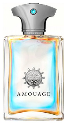 Amouage Portrayal Man Amouage Portrayal Man