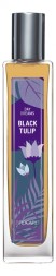 Brocard Day Dreams Black Tulip