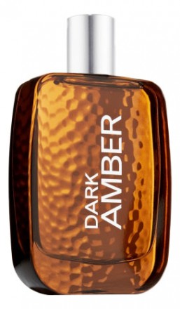Bath and Body Works Dark Amber