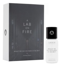 A Lab on Fire What We Do In Paris Is Secret