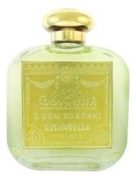 Santa Maria Novella Zagara