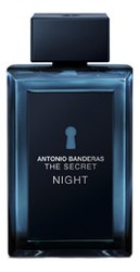 Banderas The Secret Night