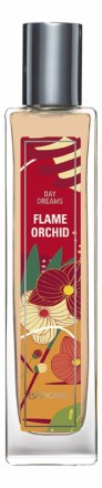 Brocard Day Dreams Flame Orchid